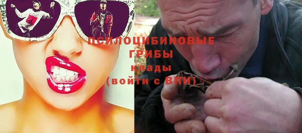 Альфа ПВП Нефтекумск