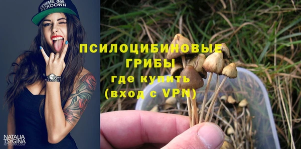 мдпв Нея