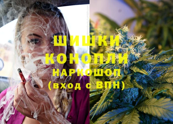 Альфа ПВП Нефтекумск